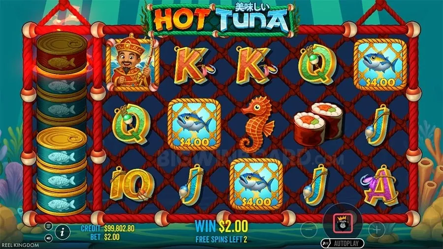 Latest news about 5JILI casino games.